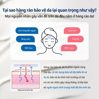 Kem dưỡng phục hồi da B5 Some By Mi 50g – Chứa D-Panthenol 5% và Peptides, dưỡng da chuyên sâu