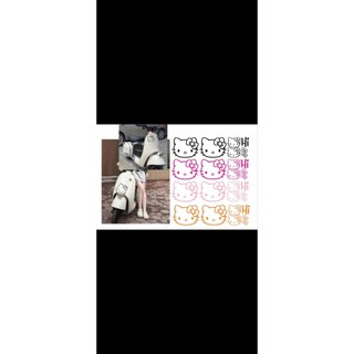 nguyên bộ hình mèo decal chuyển sắc