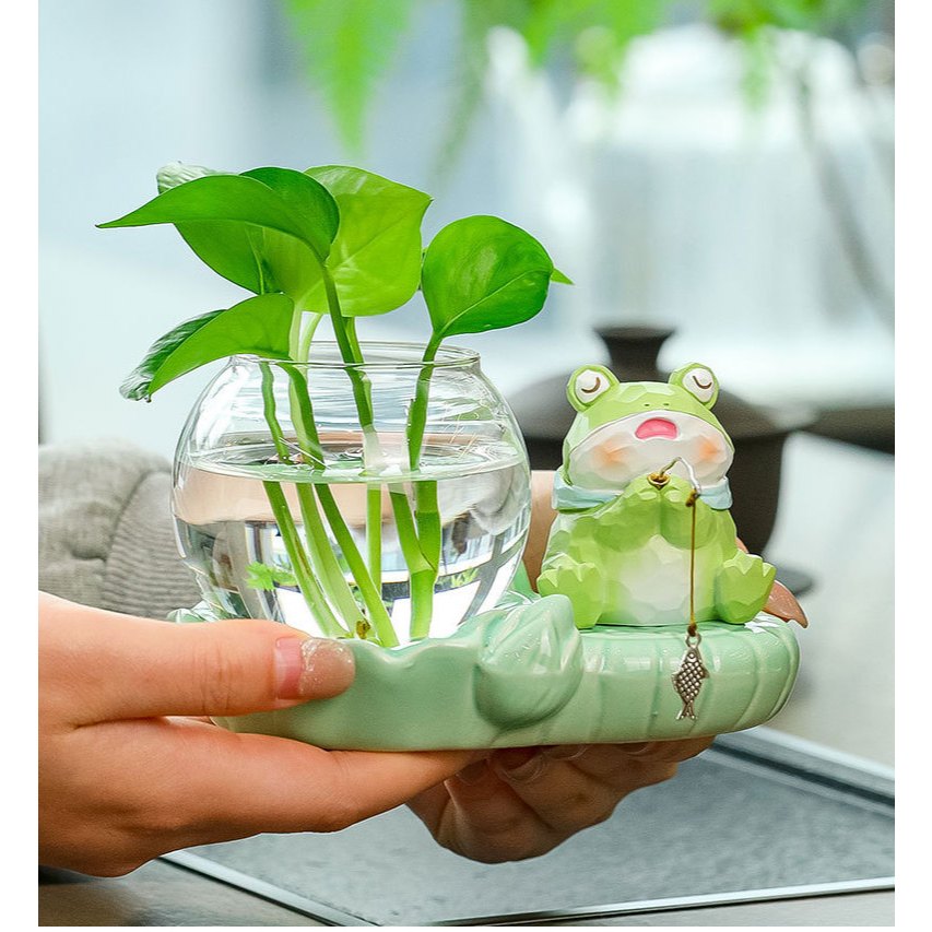 Bộ decor gấu trúc, ếch xanh kết hợp cùng bình thuỷ sinh thu hút tài lộc, cầu bình an trang trí bàn làm việc