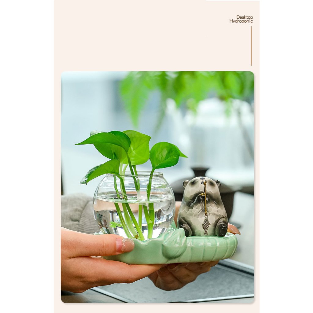 Bộ decor gấu trúc, ếch xanh kết hợp cùng bình thuỷ sinh thu hút tài lộc, cầu bình an trang trí bàn làm việc