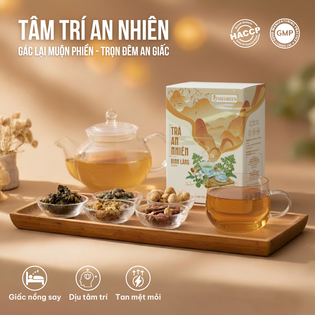 Combo 2 Hộp Trà Túi Lọc Đinh Lăng 60% VIEGREEN An Nhiên 50 Túi x 3g, Không Caffeine, Hương Nhài, GMP HACCP