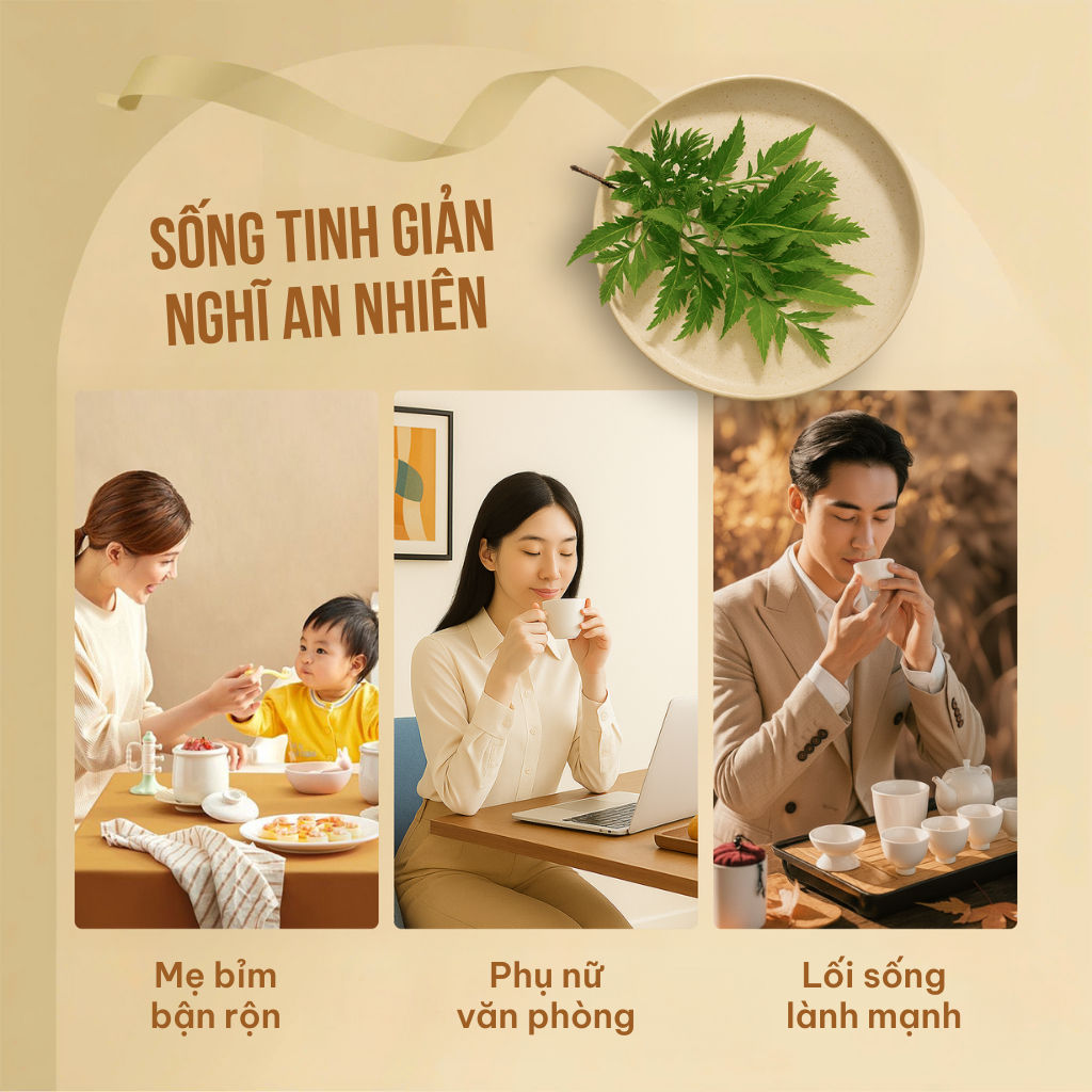 Combo 2 Hộp Trà Túi Lọc Đinh Lăng 60% VIEGREEN An Nhiên 50 Túi x 3g, Không Caffeine, Hương Nhài, GMP HACCP