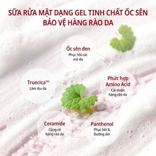 Sữa rửa mặt ốc sên Some By Mi Snail Truecica 100ml – Hỗ trợ phục hồi, làm dịu da tổn thương