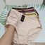 Quần Lót Bigsize Nữ Thun Lạnh Cao Cấp Size 80-95 ký Quần lót Cạp Cao Siêu Mềm Siêu Mát 844 - Đồ Lót Bơ Chip