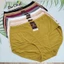 Quần Lót Bigsize Nữ Thun Lạnh Cao Cấp Size 80-95 ký Quần lót Cạp Cao Siêu Mềm Siêu Mát 844 - Đồ Lót Bơ Chip