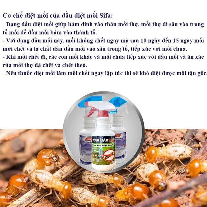 Xịt Diệt Mối Mọt Tận Gốc SIFA 500ml Mẫu Mới Nguồn Gốc Thảo Mộc, Diệt Chống Mối Mọt Gỗ, Tủ Bếp, Sàn Gỗ Đồ Gia Dụng