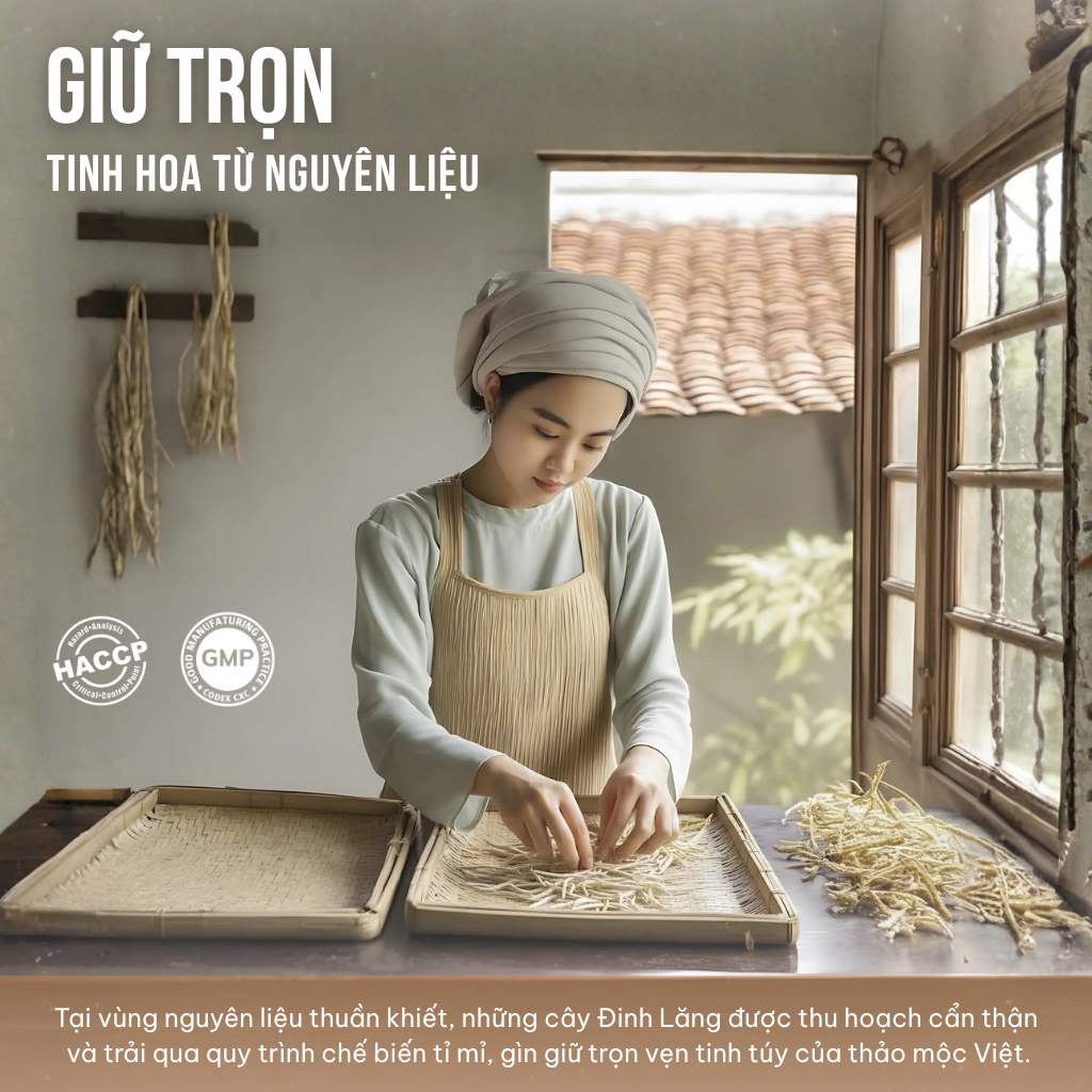 Combo 2 Hộp Trà Túi Lọc Đinh Lăng 60% VIEGREEN An Nhiên 50 Túi x 3g, Không Caffeine, Hương Nhài, GMP HACCP