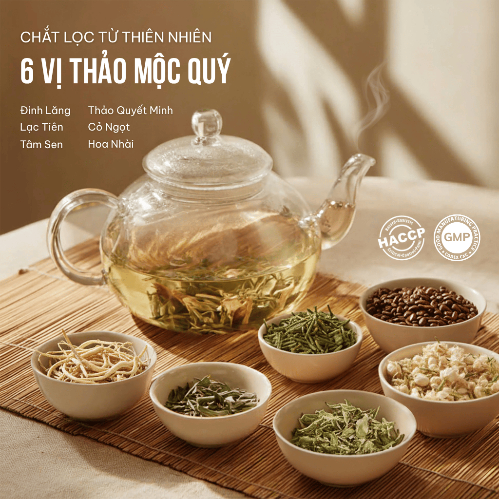 Combo 2 Hộp Trà Túi Lọc Đinh Lăng 60% VIEGREEN An Nhiên 50 Túi x 3g, Không Caffeine, Hương Nhài, GMP HACCP