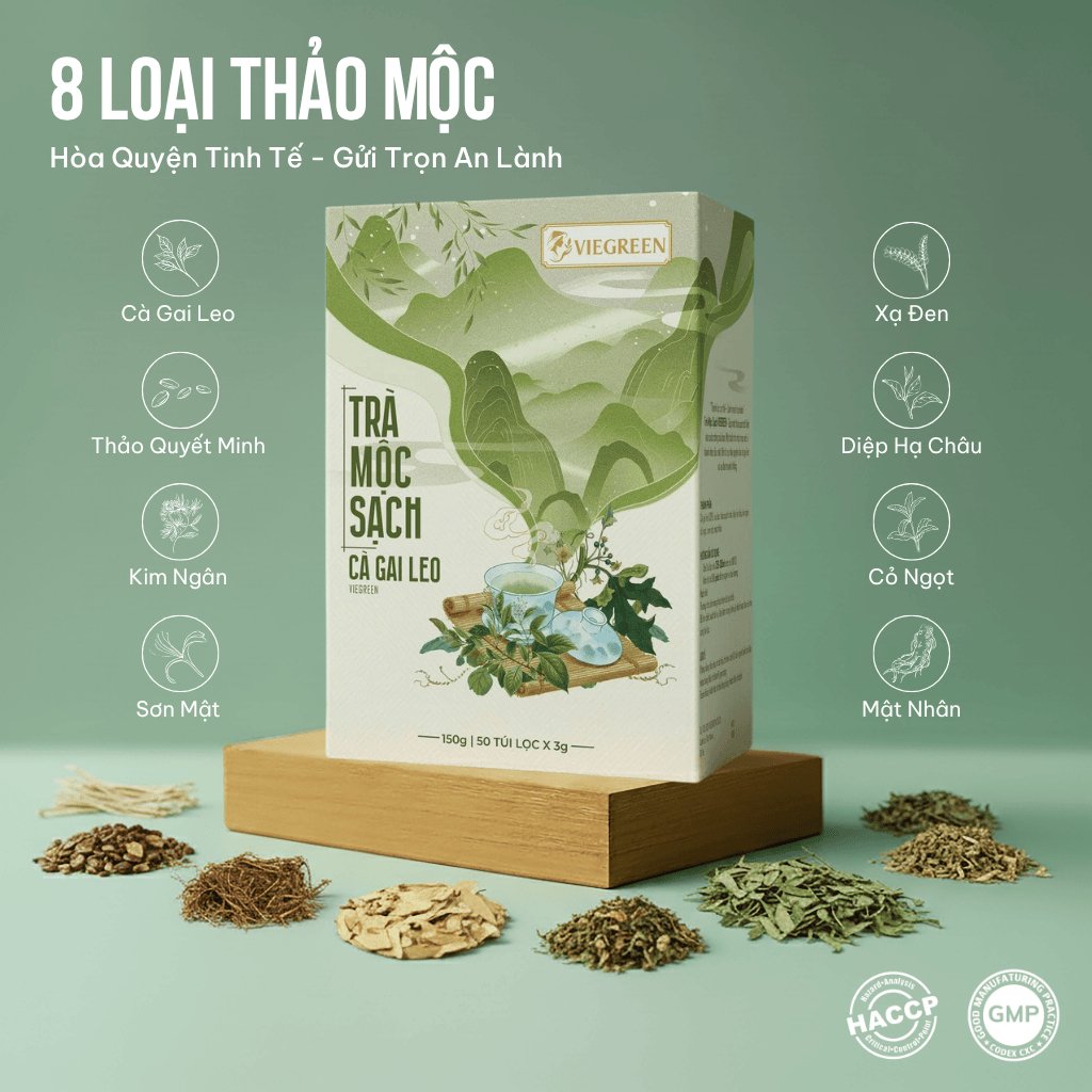 Combo 2 Hộp Trà Túi Lọc Cà Gai Leo VIEGREEN Mộc Sạch 33% 50 Túi x 3g, Không Đường, Mát Gan, GMP HACCP