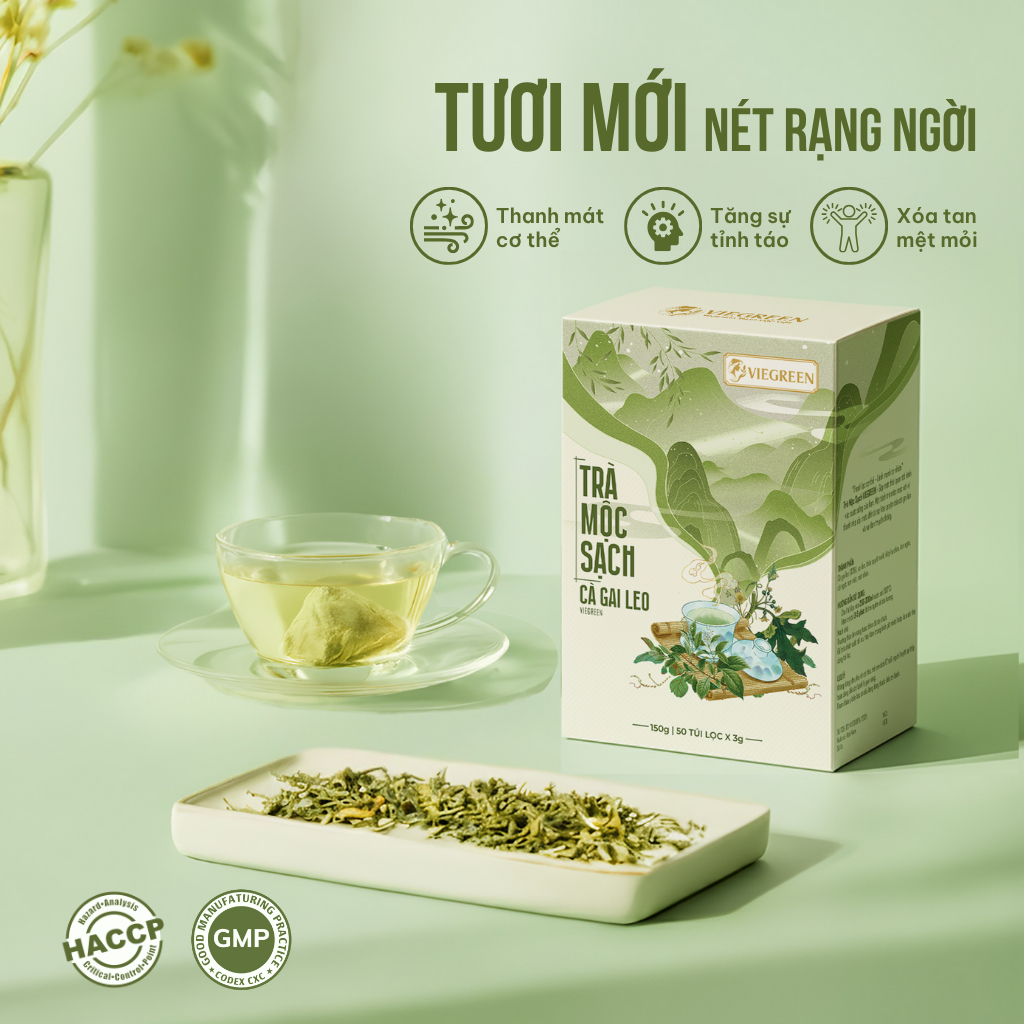 Combo 2 Hộp Trà Túi Lọc Cà Gai Leo VIEGREEN Mộc Sạch 33% 50 Túi x 3g, Không Đường, Mát Gan, GMP HACCP