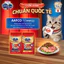 Combo 8 gói thức ăn hạt cho mèo trong nhà Silver Spoon mới - Vị thịt gà & thịt cừu 450g - hàm lượng Protetin cao
