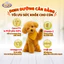 Combo 3 Thức ăn khô cho chó Gran Deli 700g/gói - Cung cấp dinh dưỡng cân bằng cho chó trưởng thành