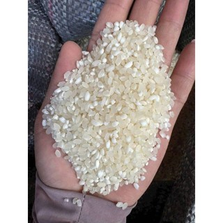 Gạo Nếp Nương.Lúa Nếp Vụ Mới.Hút chân không túi 1KG.