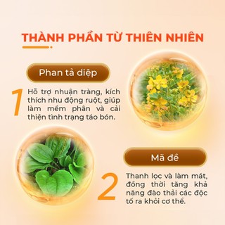 Viên Uống Powergra Gut Guardian Hỗ Trợ Tiêu Hóa Khỏe, Nhuận Tràng, Giảm Đầy Hơi, Khó Tiêu - Hộp 60 Viên