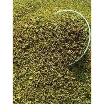 Trà hoa hòe sấy khô nguyên nụ loại 1 - 100gr - 200gr - 500gr
