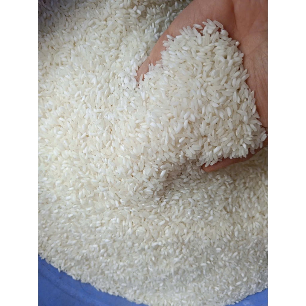 5kg Tài Nguyên cũ 2 năm: làm bánh bò, bánh bèo, bánh xèo, cơm chiên rất ngon - nở tơi, khô, xốp, trắng, không hôi mốc