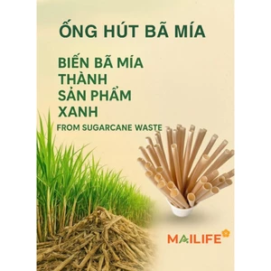 1000 cái Ống hút bã mía phi 6, size 6*200mm 189đ/cái