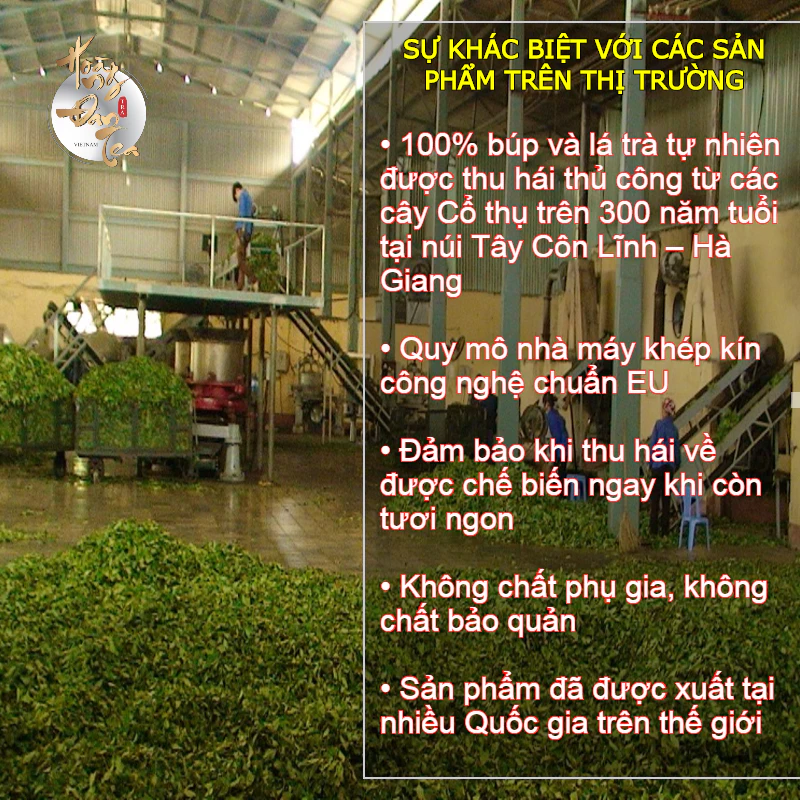 Set Quà Tết Hộp Gỗ 2 Hũ Chè Ngon Shan Tuyết & Thái Nguyên Thượng Hạng Uống Trà Đạo Cao Cấp Quà Tặng