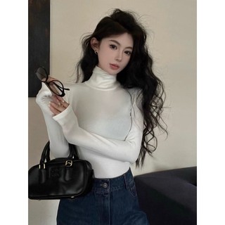 Áo thun body cao cổ thu đông nữ chất tăm mịn co giãn ôm nhẹ mẫu trơn 4 màu VANISA CT477