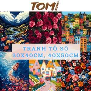 Tranh Tô Màu Theo Số, Tranh Sơn Dầu Số Hoá 30x40cm Có Khung Nhiều Mẫu Chọn Lựa TOMI 077