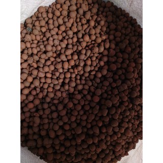 Hạt Đất Nung Clayball Đất Sét Nung Sỏi Nhẹ TRồng Lan Giá Trồng Rau