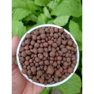 Hạt Đất Nung Clayball Đất Sét Nung Sỏi Nhẹ TRồng Lan Giá Trồng Rau
