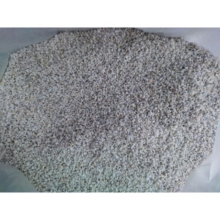 Đá Perlite Đá Trân Châu Trắng Giàu Dưỡng Chất, Thoáng Khí Phối Trộn Nguyên Liệu