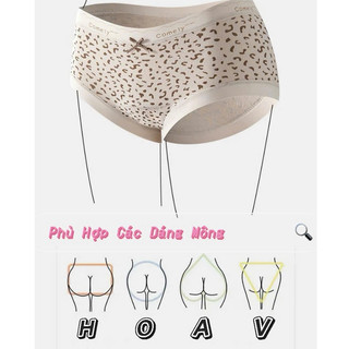Quần Lót Cotton Nữ Viền Su Lụa Mát Mịn Đáy Quần Kháng Khuẩn Thoáng Khi Tone Báo MÃ 216