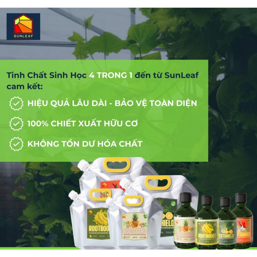 Phòng Rệp Sáp Bọ Trĩ Nhện Đỏ & Ngừa Nấm | 100% Hữu Cơ Chiết Xuất Gừng Tỏi Ớt | Rau, Phong Lan, Hoa Hồng | SUNLEAF