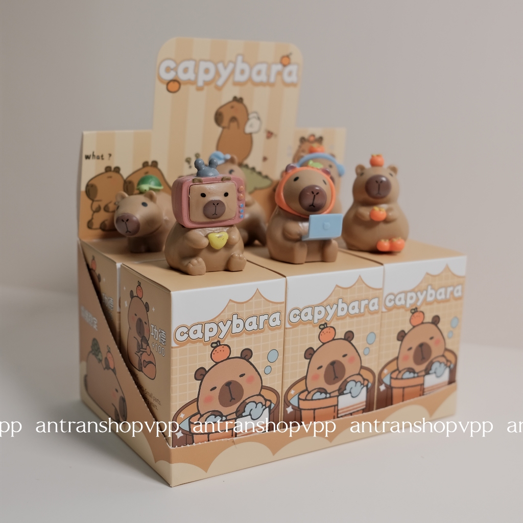 (Capy ver 2) Blindbox Capybara version 2 dễ thương mô hình có hộp có ...