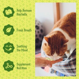Bánh Cá Match Well Gói 40g, Bánh Cá Catnip Cho Chó Mèo sạch răng thơm miệng