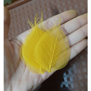 Set 5 Xương lá bồ đề size mini 2-3-4cm để trang trí, làm đồ handmade