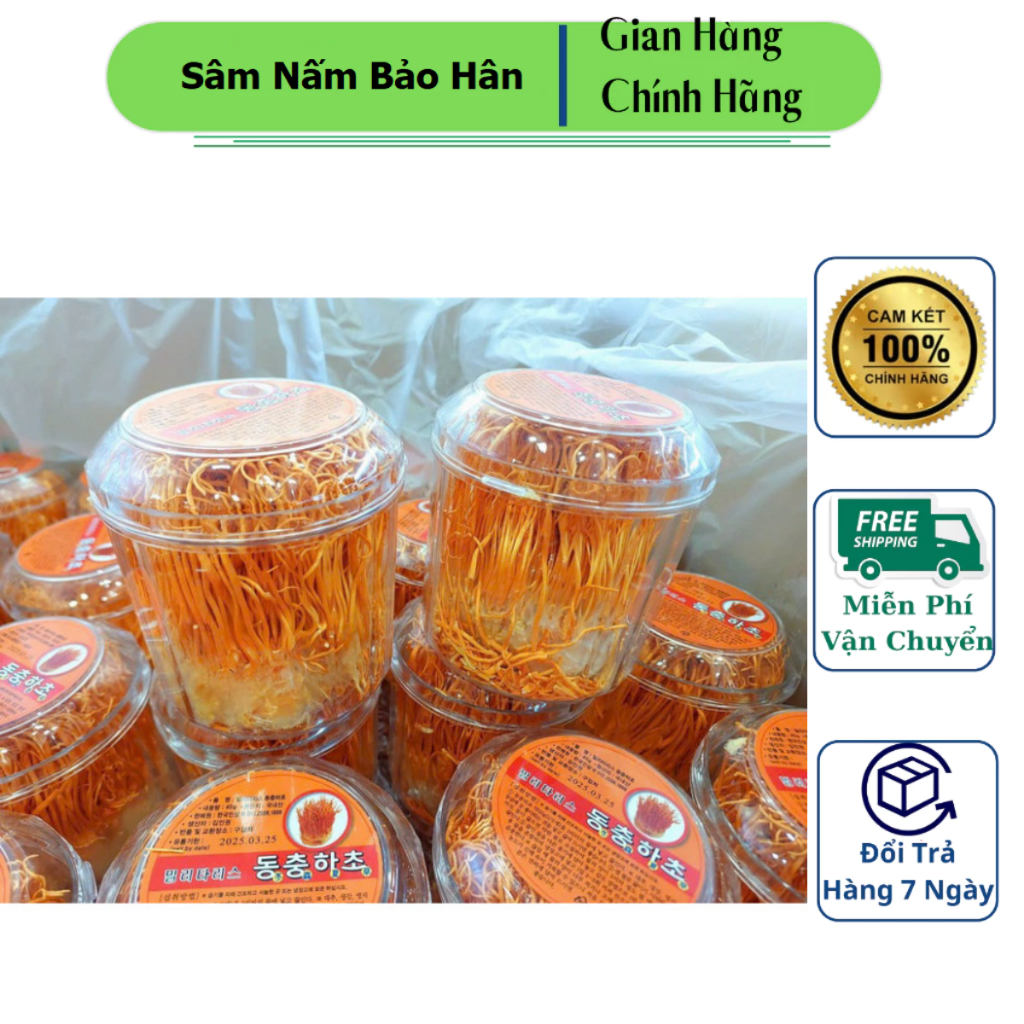 Hoa Đông Trùng - Hạ Thảo Hàn Quốc, Hộp 45gram, Sản phẩm nhập khẩu chất lượng cao, tốt cho sức khỏe. ( hàng mới về )