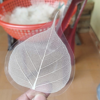 Lá bồ đề may mắn bỏ ốp điện thoại màu trắng