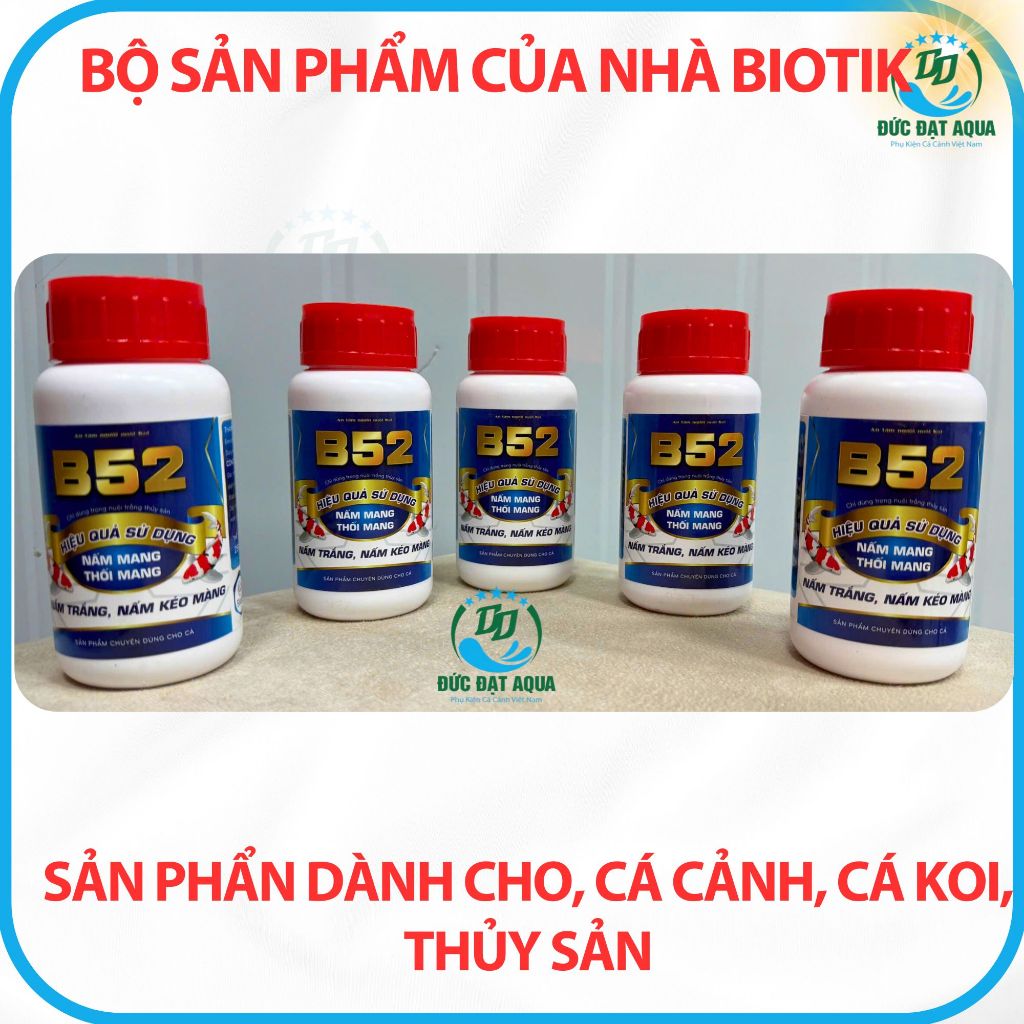 B52, nấm mang, thối đuôi, nấm trăng , dùng cho cá cảnh ,cá koi, thủy sản LỌ 250ML 2