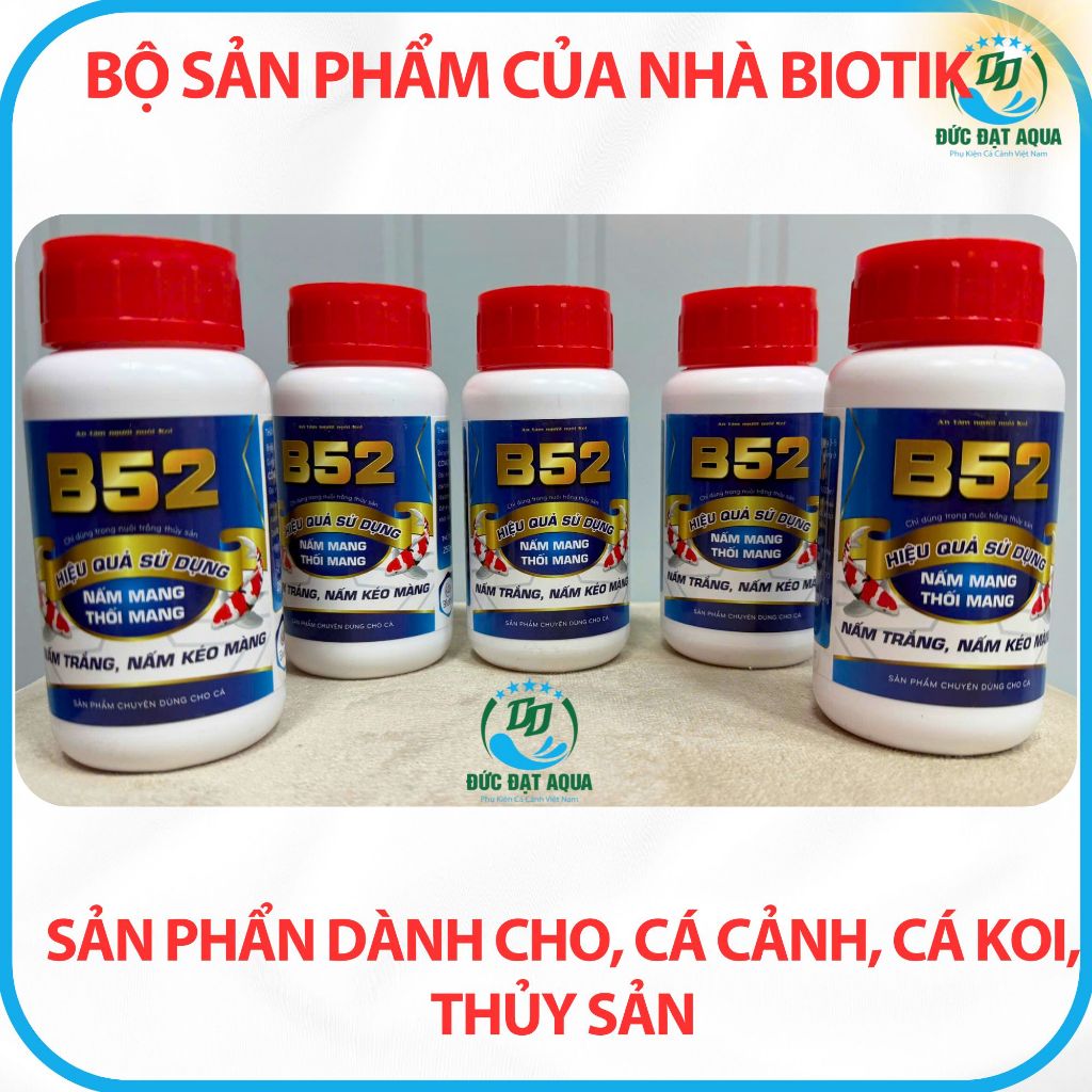 B52, nấm mang, thối đuôi, nấm trăng , dùng cho cá cảnh ,cá koi, thủy sản LỌ 250ML 6
