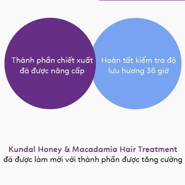 Dầu xả phục hồi tóc hư tổn KUNDAL HONEY & MACADAMIA TREATMENT 500ml | DAMDAVN