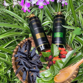 Dầu gội thuần chay bổ sung Biotin & Collagen - Kolormaster