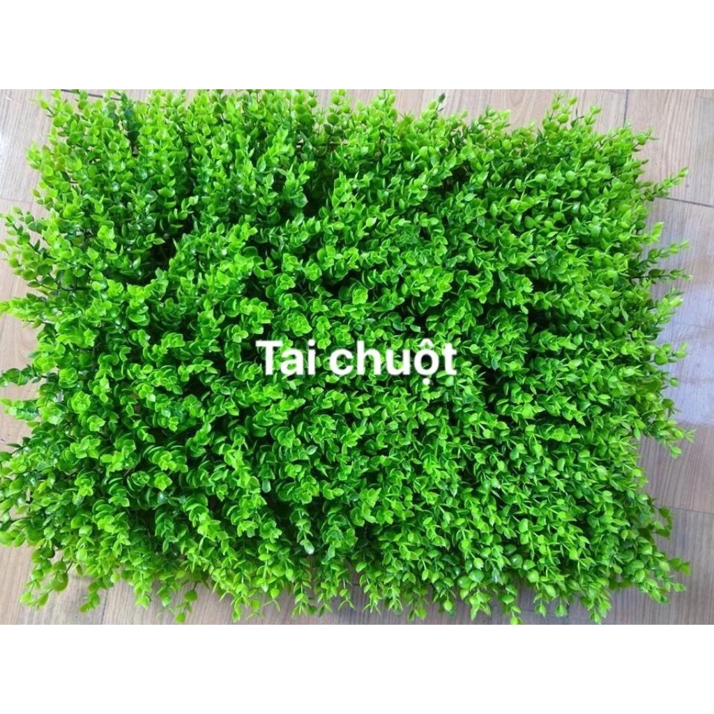 Combo 40 tấm Thảm cỏ trang trí tường kích thước 40cm x 60cm trang trí tường làm packgroud chụp sản phẩm,...