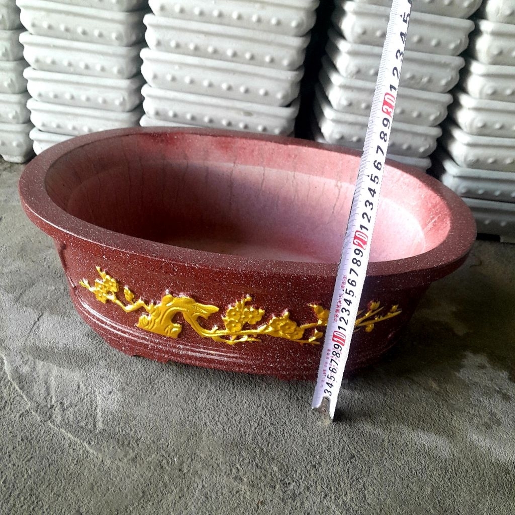 chậu trồng cây bonsai để bàn