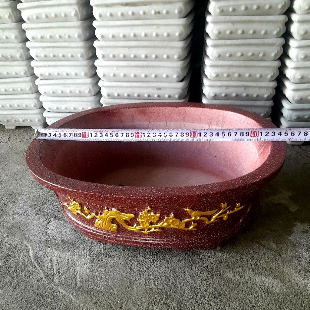 chậu trồng cây bonsai để bàn