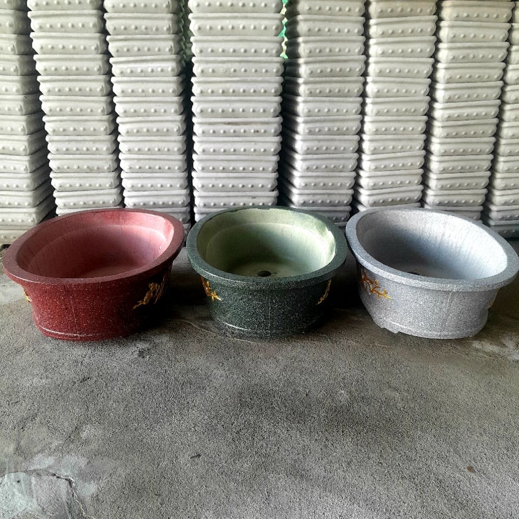 chậu trồng cây bonsai để bàn