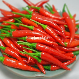 40 Hạt - Hạt Giống  Ớt  Hiểm F1 Phương Nam