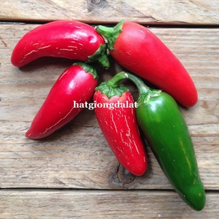20 Hạt - Hạt Giống Ớt Sai Trái Jalapeno Phương Nam Phương Nam