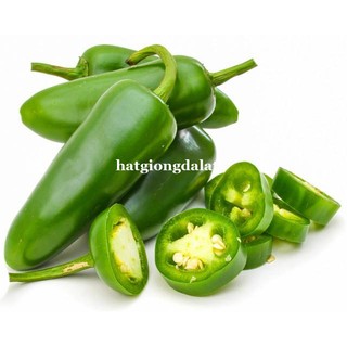 20 Hạt - Hạt Giống Ớt Sai Trái Jalapeno Phương Nam Phương Nam