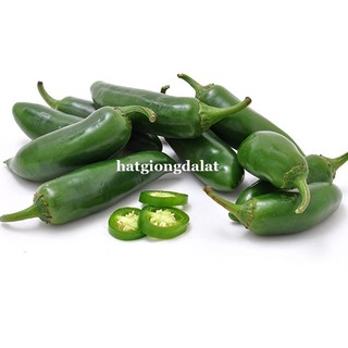 20 Hạt - Hạt Giống Ớt Sai Trái Jalapeno Phương Nam Phương Nam