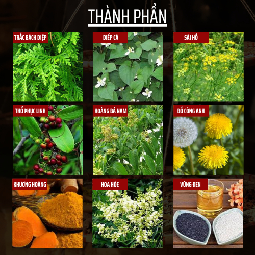 Đông y gia truyền Đông Cát - Cao bôi trĩ - Trĩ nội, Trĩ ngoại, ngứa, co se búi trĩ - Hũ 15g
