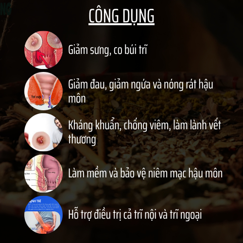 Đông y gia truyền Đông Cát - Cao bôi trĩ - Trĩ nội, Trĩ ngoại, ngứa, co se búi trĩ - Hũ 15g