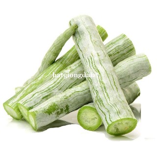 15 Hạt - Hạt Giống Khổ Qua Tây ( Lặc Lầy Trắng ) Phương Nam
