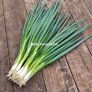 0.5 Gram - Hạt Giống Tỏi Tây(Boa Rô) Phương Nam